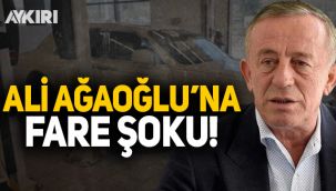 Ali Ağaoğlu'nun arabasını fareler kemirdi