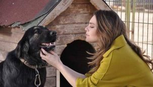 Aslı Enver barınaktan köpek sahiplendi 