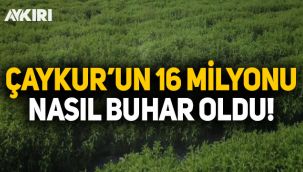 ÇAYKUR'un 16 milyon lirası nasıl buhar oldu?