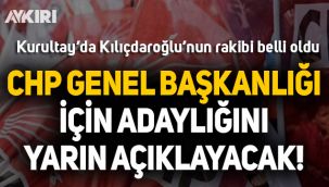 CHP'de İlhan Cihaner genel başkanlığa aday olacak!