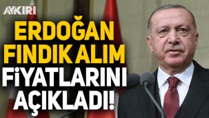 Cumhurbaşkanı Erdoğan fındık fiyatını açıkladı!