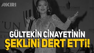 Demet Akalın'ın Pınar Gültekin paylaşımına tepki yağdı