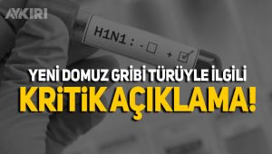 DSÖ'den yeni domuz gribi türüyle ilgili kritik açıklama