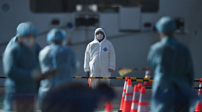 DSÖ'den yeni domuz gribi virüsü açıklaması