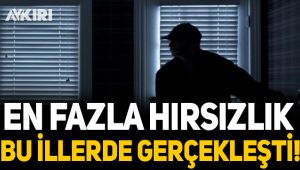 En fazla hırsızlık bu illerde gerçekleşiyor!