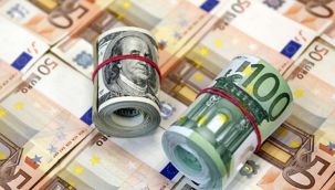 Euro ve Altın fiyatlarında rekor