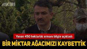Gelibolu Yarımadası'nda çıkan yangında son durum