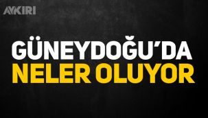 Güneydoğu Anadolu bölgesinde virüs alarmı