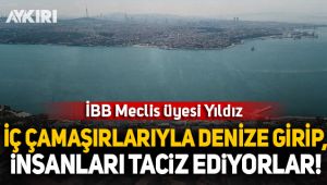 İBB Meclis üyesi Taylan Yıldız: İç çamaşırlarıyla denize girip insanları taciz ediyorlar!