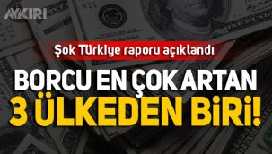 IIF'nin Türkiye raporunda ürküten sonuç