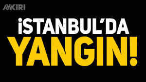 İstanbul'da fabrika yangını