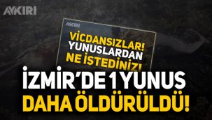 İzmir'de öldürülen yunus sayısı 4'e çıktı