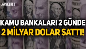 Kamu bankaları 2 günde 2 milyar dolar sattı