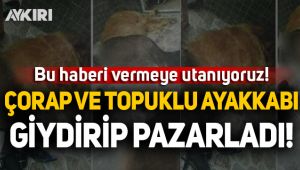Köpeğe çorap ve topuklu ayakkabı giydirip pazarladı!