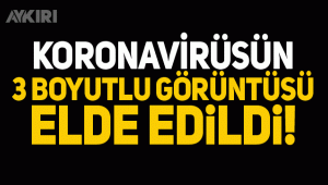 Koronavirüsün 3 boyutlu görüntüsü