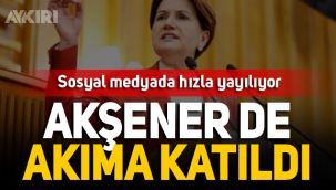 Meral Akşener'den 'siyah-beyaz fotoğraf' akımına destek
