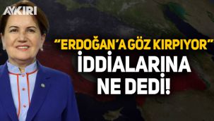 Meral Akşener,