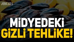 Midyede ağır metal tehlikesi