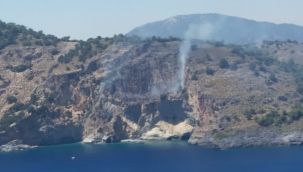Muğla Dalaman'da orman yangını
