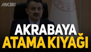 Orman Bakanlığı'nda akrabaya atama kıyağı