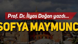 Prof. Dr. İlyas Doğan yazdı: Ayasofya Maymuncuğu