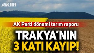 AK Parti dönemi tarım raporu: Trakya'nın 3 katı kayıp