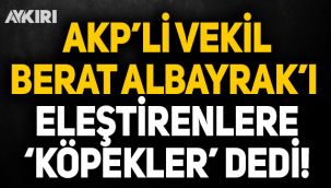 AK Partili vekil Berat Albayarak'ı eleştirenlere 'köpekler' dedi