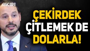 Albayrak,