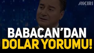Ali Babacan'dan dolar yorumu
