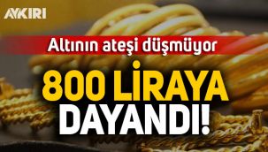 Altının ateşi düşmüyor! Çeyrek altın 800 lirayı zorluyor