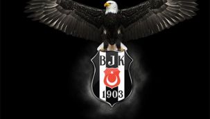 Kamil Grosicki, Beşiktaş yolunda