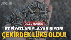 Çekirdek fiyatı etle yarışıyor!