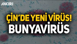Çin'de koronavirüs bitmeden bunyavirüs çıktı