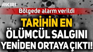 Çin'de tarihin en ölümcül salgınlarından bubonik veba yeniden ortaya çıktı