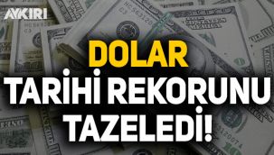 Dolar tarihi rekor kırdı: 7,37 TL