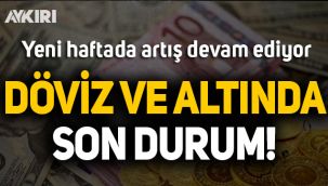 Döviz ve altında son durum