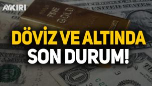 Döviz ve Dolarda son durum