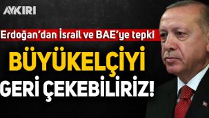 Erdoğan: Abu Dabi büyükelçisini geri çekebiliriz