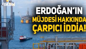 Erdoğan'ın müjdesi hakkında çarpıcı iddia: Karadeniz ve Doğu Akdeniz'de enerjik kaynağı