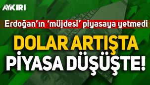 Erdoğan'ın müjdesi sonrasında son durum: Dolar arttı, borsa düşüşte