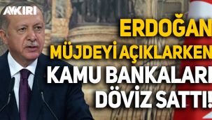 Erdoğan müjdeyi açıklarken kamu bankaları döviz sattı