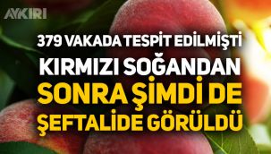 Kırmızı soğandan sonra şeftalide de Salmonella virüsü endişesi