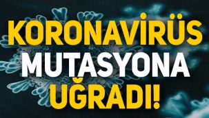 Koronavirüs mutasyona uğradı!