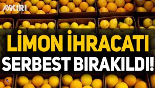 Limon ihracatı serbest bırakıldı