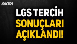 Lise yerleştirme sonuçları açıklandı