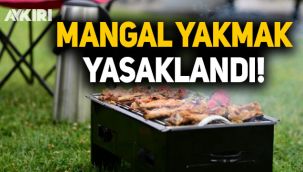 İstanbul'da mangal yakmak yasaklandı