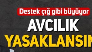 Tarkan, 'Avcılık tamamen yasaklasın' kampanyasına destek verdi