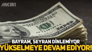 TL'nin değer kaybı sürüyor Dolar 7 liraya dayandı!