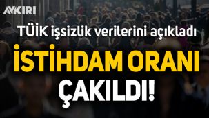 TÜİK işsizlik verilerini açıkladı