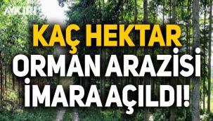 Yangınlardan sonra kaç hektar orman arazisi imara açıldı